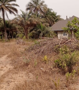 terrain de 13 parcelles en vente à kolabounyi  gare chemin de fer. prix à discuter