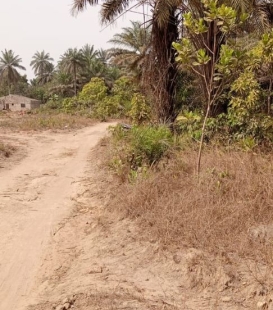 terrain de 13 parcelles en vente à kolabounyi  gare chemin de fer. prix à discuter