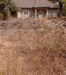 terrain de 13 parcelles en vente à kolabounyi  gare chemin de fer. prix à discuter